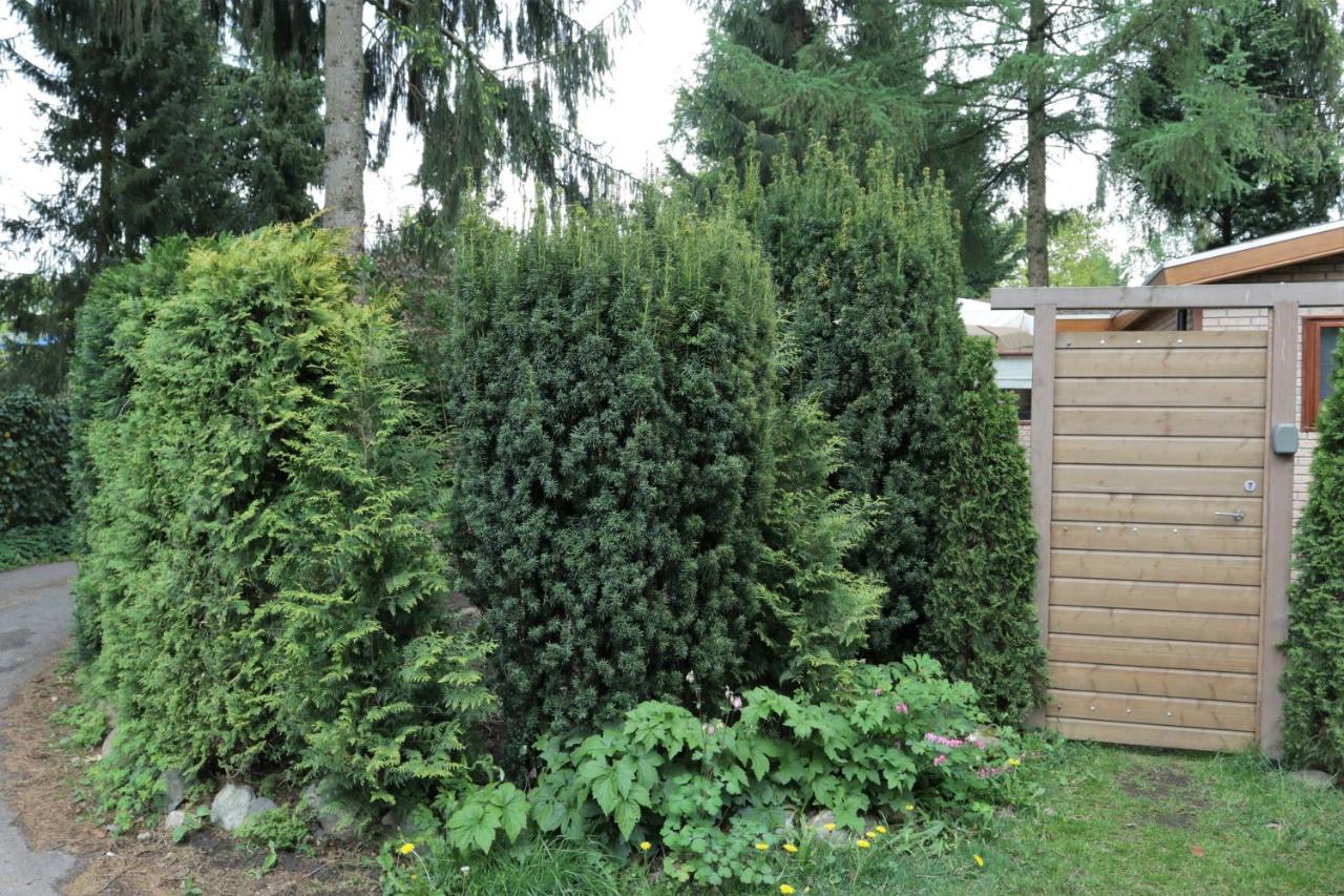 Veluwehuisje Speulderbos Villa Putten Exteriör bild